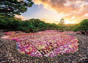 The Traditional Path Woven with Beauty and Flavor Yuushien Garden Daikon Island Shimane