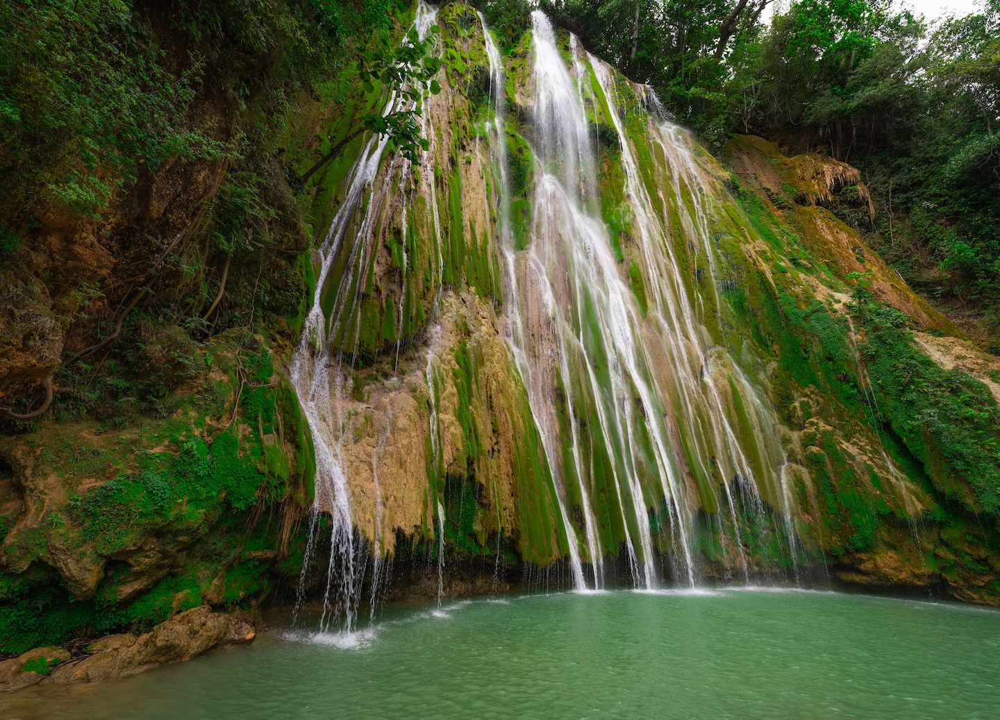 Hikers stand before Salto El Limón, where a tall waterfall cascades into a green jungle pool. - Samaná, Dominican Republic