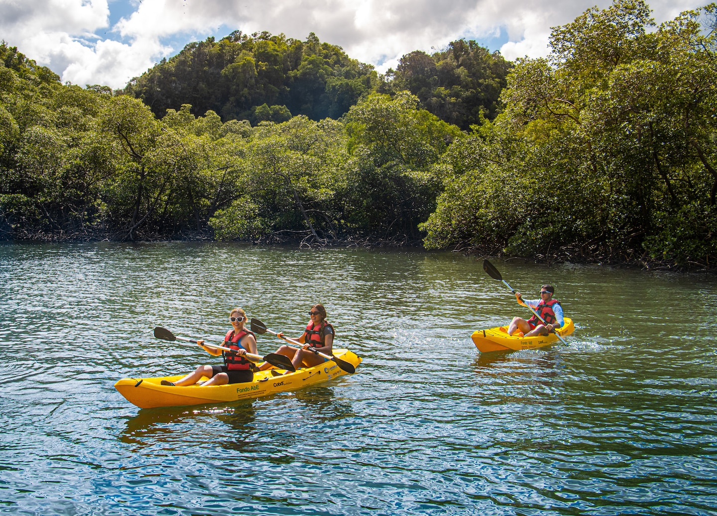 Group of people explore mangrove waterways during a guided kayaking adventure. - Samaná, Dominican Republic