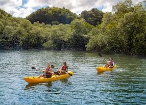 los haitises highlights san lorenzo bay mangrove kayaking and cave expedition people