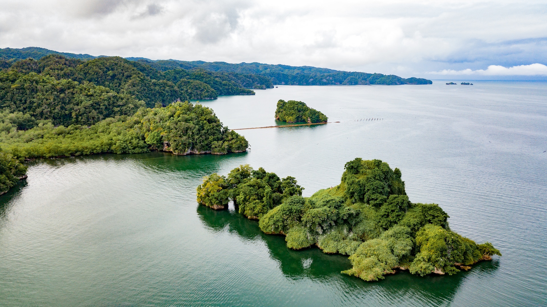 catamaran cruise to los haitises mangrove and taino caves expedition aerial