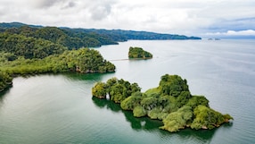catamaran cruise to los haitises mangrove and taino caves expedition aerial