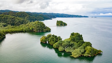 catamaran cruise to los haitises mangrove and taino caves expedition aerial