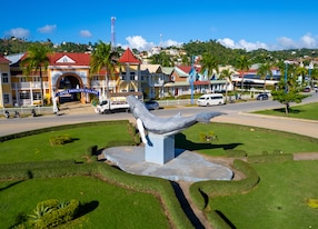 scenic drive to santa barbara and dominican rum tasting