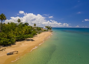 Playa Rincon Transfer Aerial Rincon Beach Shoreline