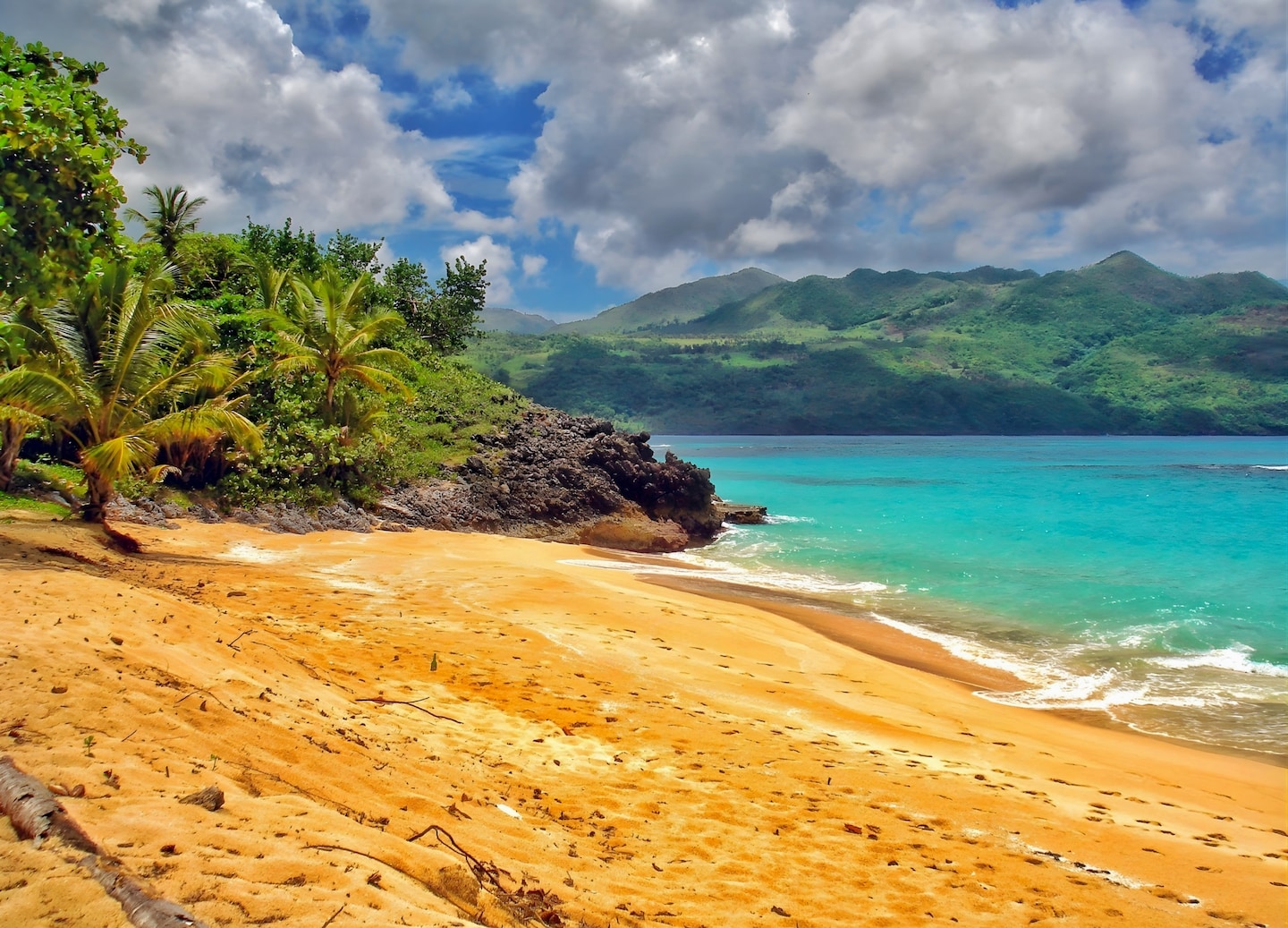 Playa Rincón’s shoreline features soft sand, clear turquoise water, and gentle waves along a quiet coast. - Samaná, Dominican Republic