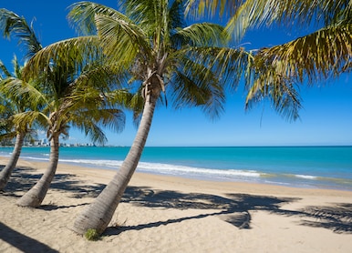 pristine shoreline at isla verde