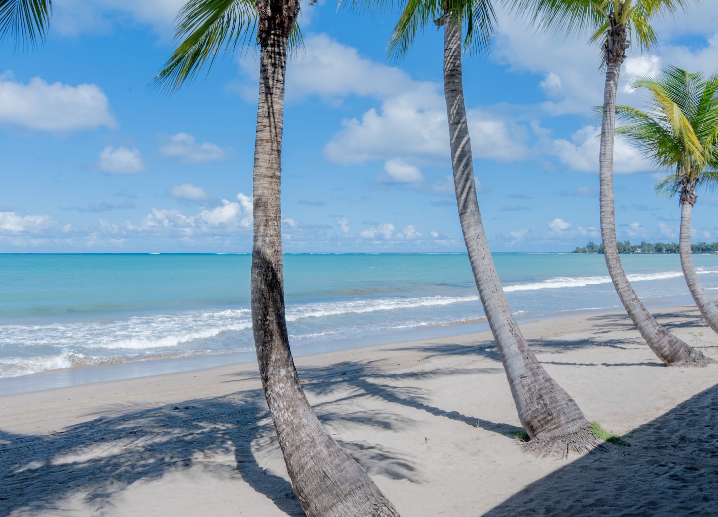 Vivo Beach Club’s bright shoreline features white sand, clear turquoise water, and gentle rolling waves. - San Juan, Puerto Rico
