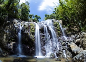 argyle waterfalls tobago