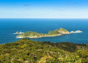 little tobago island