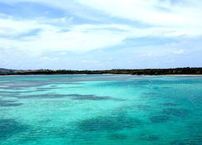 buccoo reef trinidad