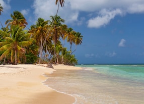 pigeon point beach tobago