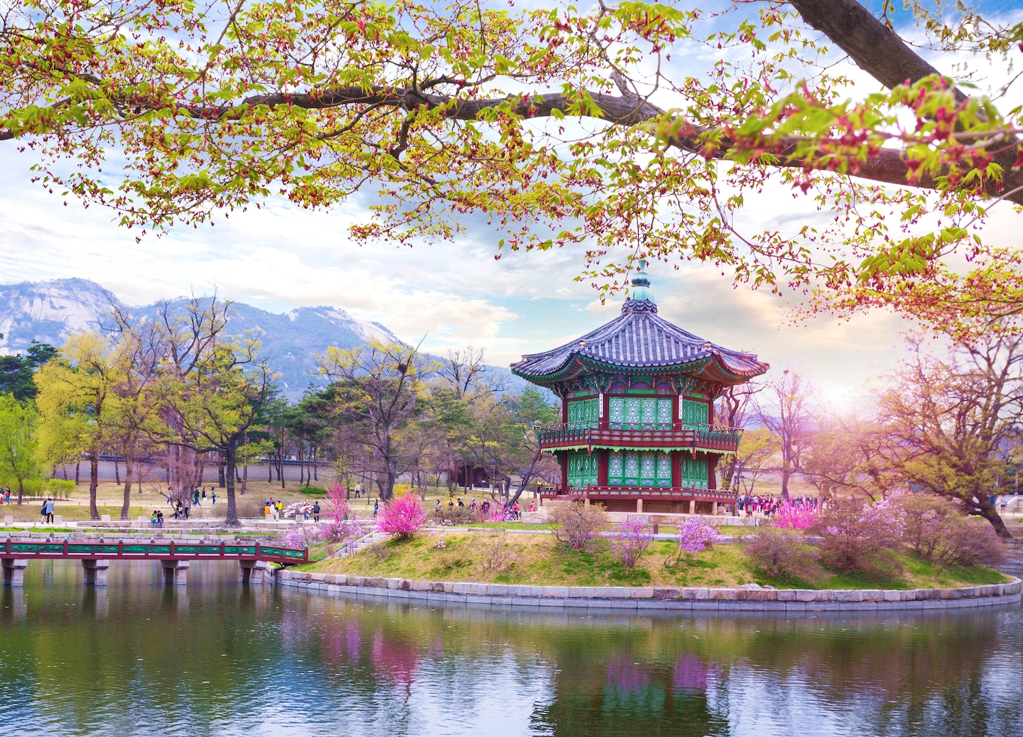 Gyeongbokgung Palace surrounded by spring blossoms under clear skies. - Seoul, South Korea