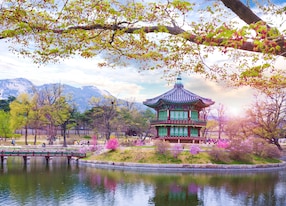 gyeongbokgung palace in spring south korea