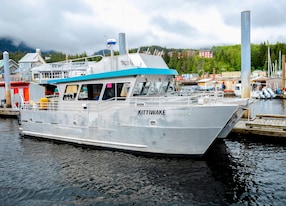 Wildlife and Otter Spotting with Alaskan Canapes Boat