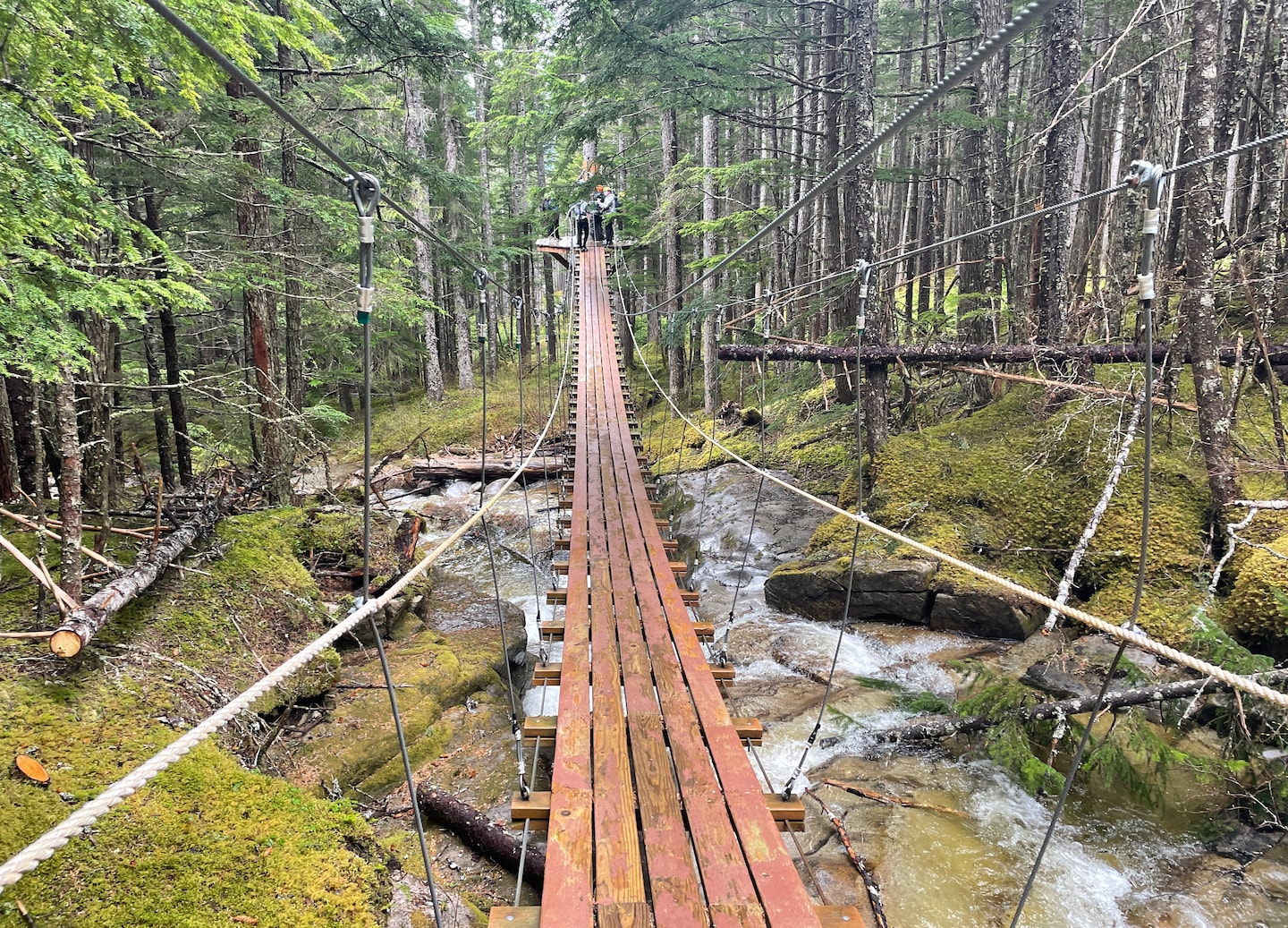 Guests cross suspension bridge above roaring Grizzly Falls on thrilling zipline adventure. - Skagway, Alaska