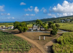 Farm to Bottle The Prosperity Experience