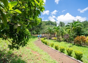 laura spice garden trees dirt path