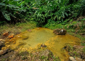 Clabony Hot Springs and Beaulieu Nutmeg Museum Clabony Hot Springs