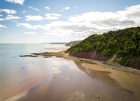 beach coast moutain bay of fundy