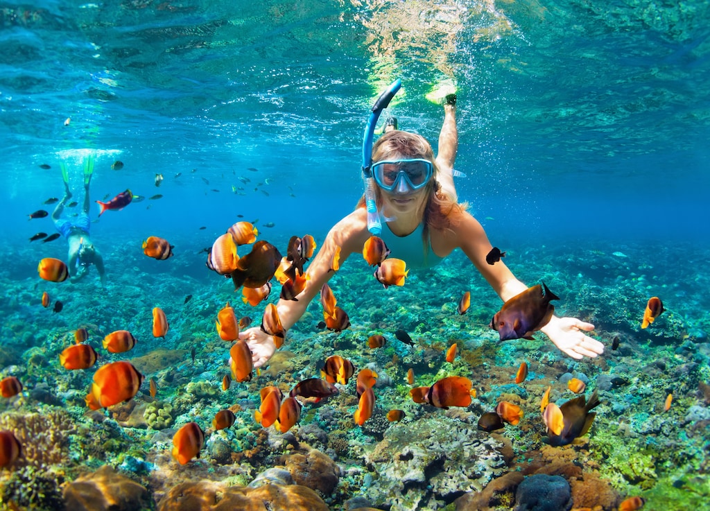 The Best Time to Visit Antigua: A Seasonal Guide
