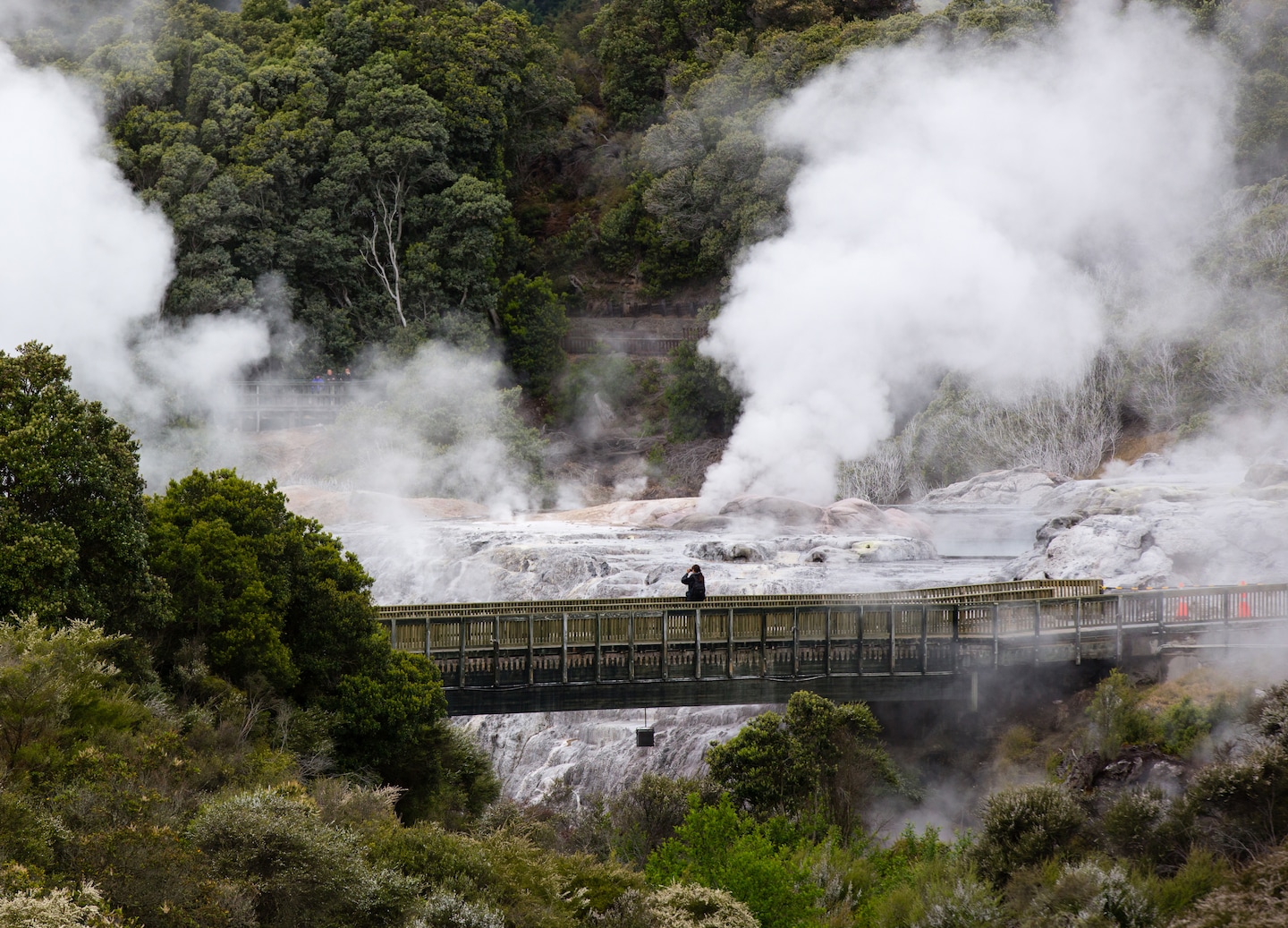 Experience a traditional Māori welcome, enjoy a hangi feast, and witness cultural performances. - Tauranga, New Zealand