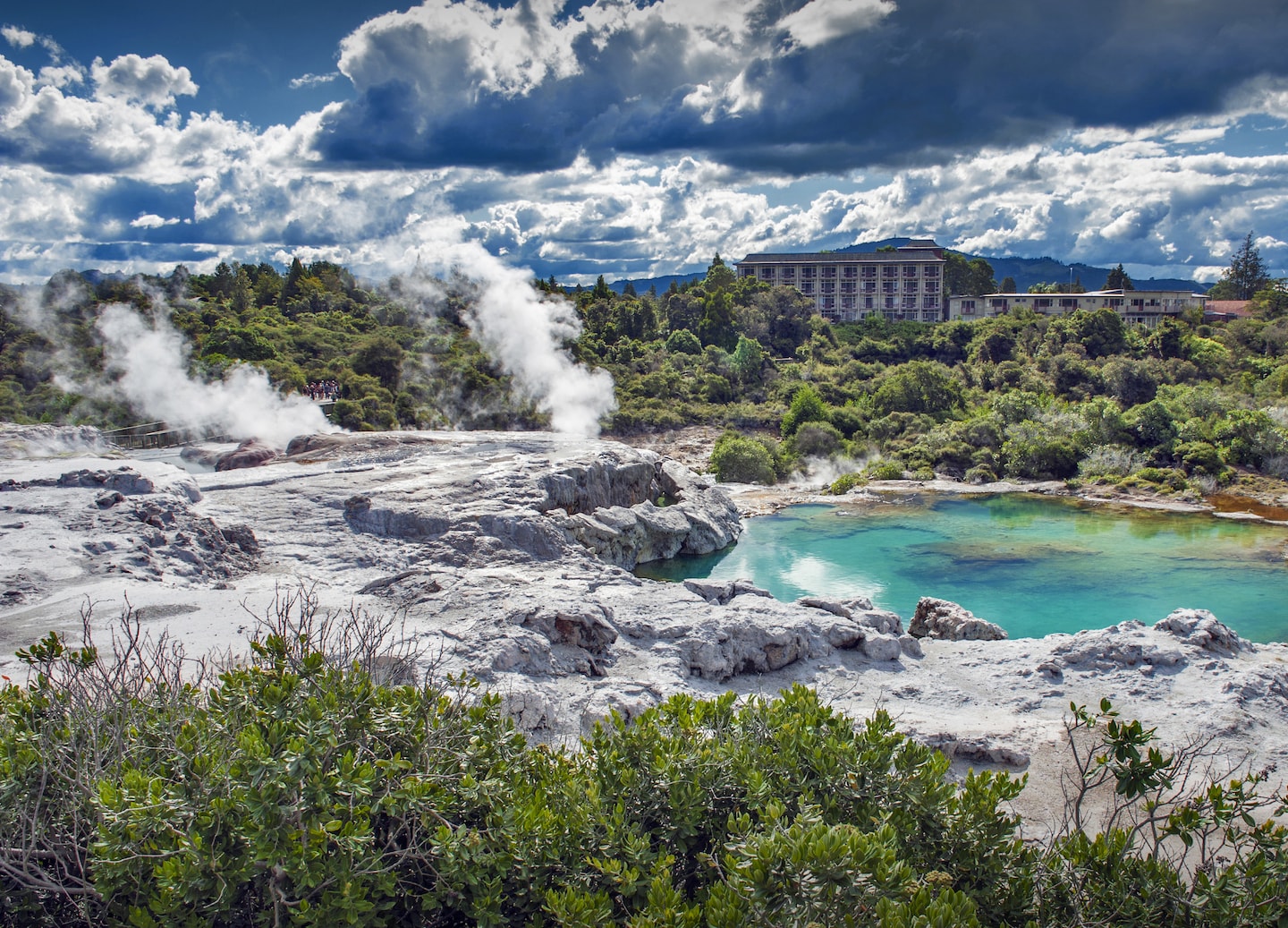 Explore Te Puia’s geysers and Māori culture before relaxing at Rotorua’s Polynesian Spa. - Tauranga, New Zealand