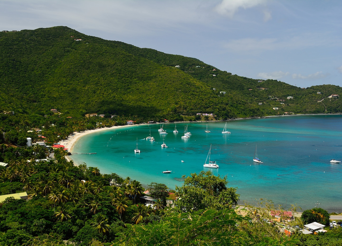 Cane Garden Bay beach with turquoise waters and palm shoreline. - Tortola, British Virgin Islands