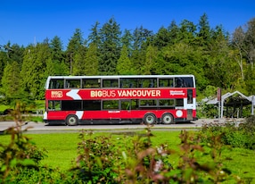 Vancouver Hop On Hop Off Highlights Stanley Park