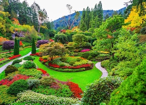 butchart gardens gardens on vancouver island flower beds of colorful flowers and walking paths