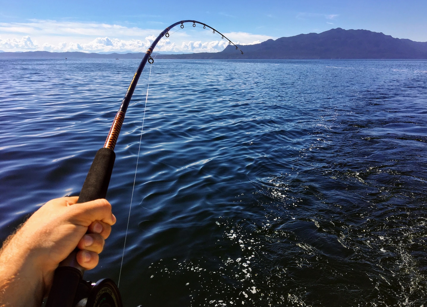 Fish for wild salmon off Vancouver Island with expert guides, quality gear, and marine wildlife encounters. - Victoria, British Columbia
