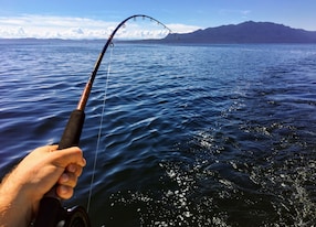 fishing along the coast of british columbia trolling for salmon male hand holding the rod