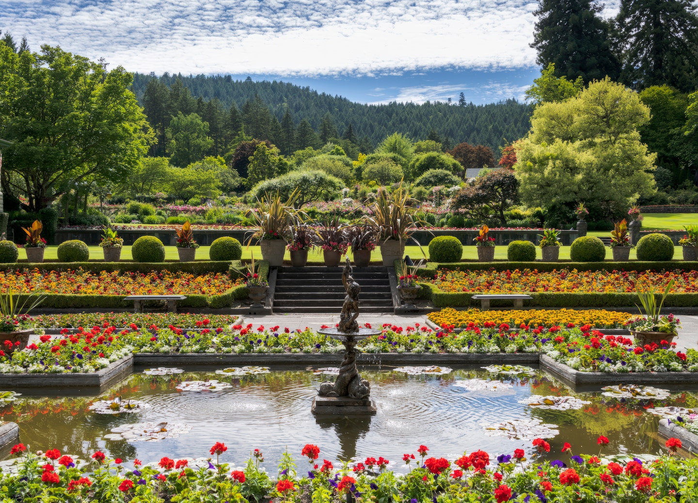 Explore Butchart Gardens, its Sunken Garden, and Butterfly Gardens filled with wildlife and blooms. - Victoria, British Columbia
