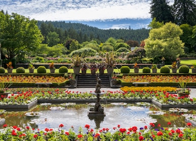 Butchart Gardens Tea and City Highlights