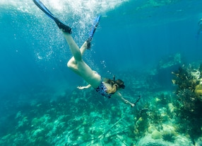 woman snorkeling underwater coral