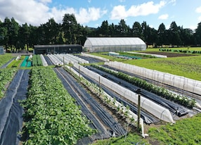 mangaroa farm with yoga daytime aerial angle