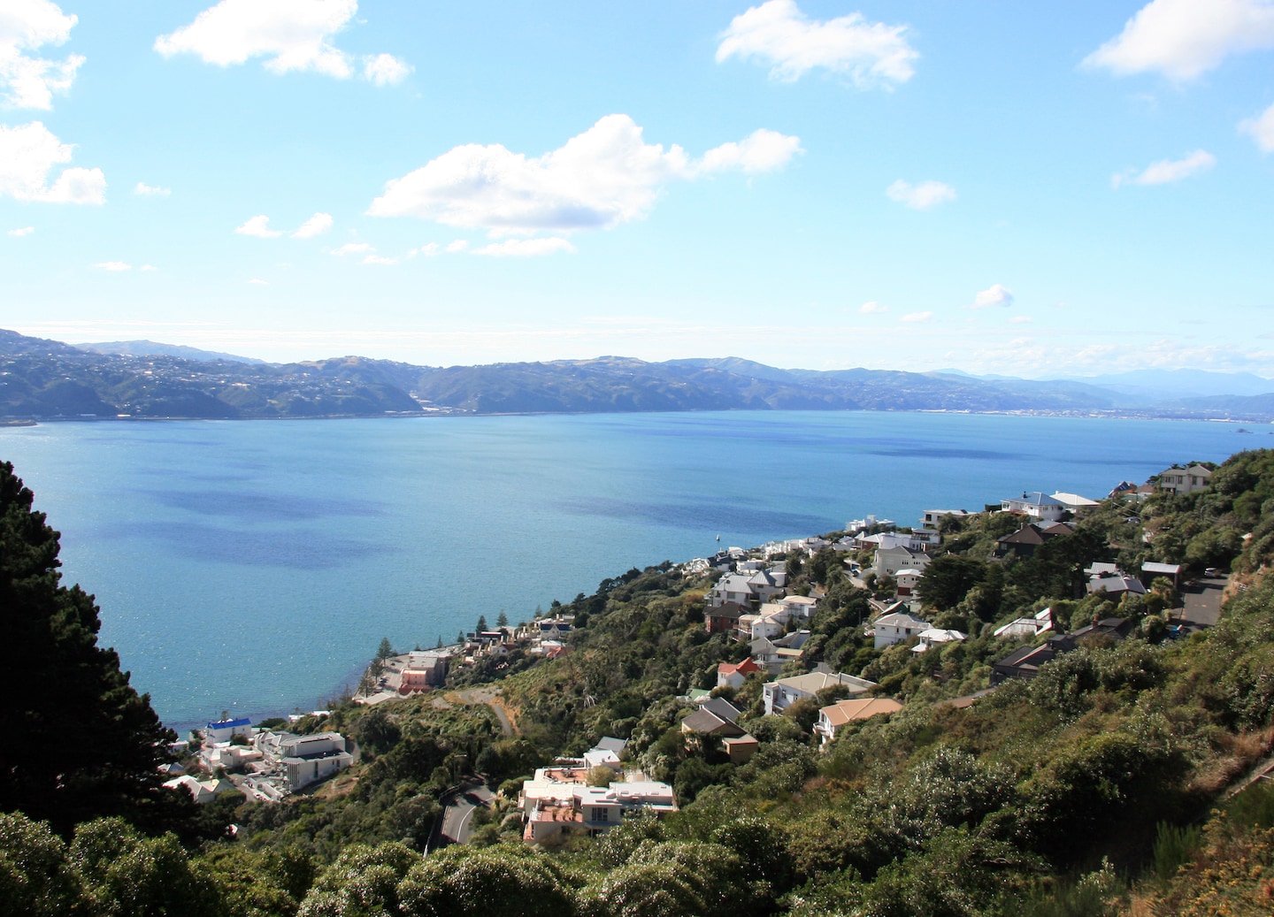See sheepdogs, lighthouses, and Botanic Gardens on Wellington’s City and Shipwreck Coast Tour. - Wellington, New Zealand