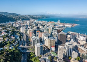 wellington city central business district aerial point of view
