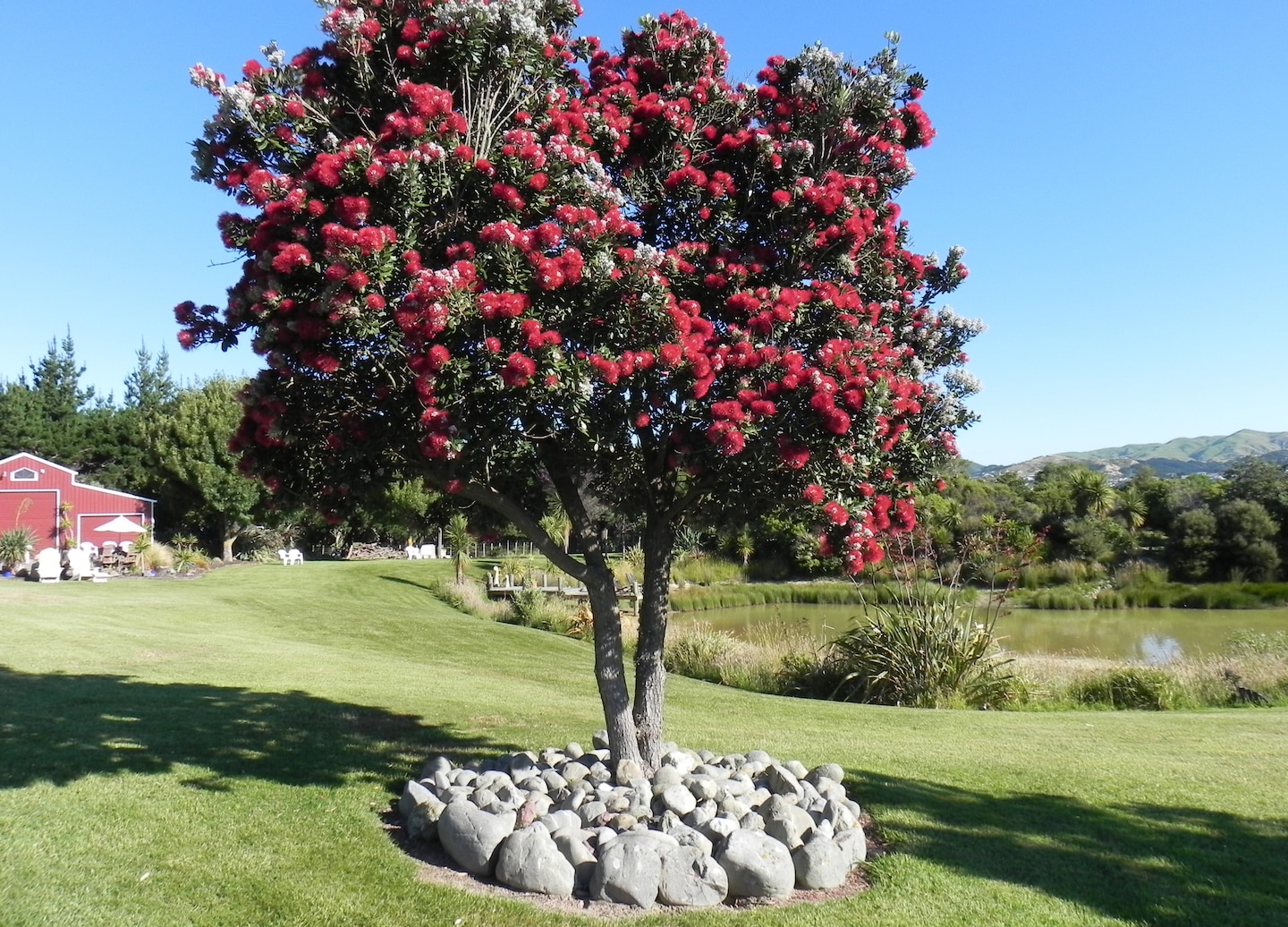 Experience Maori culture, scenic landscapes, and local hospitality at Shenandoah. - Wellington, New Zealand