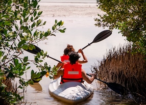 kayak couple mangroves